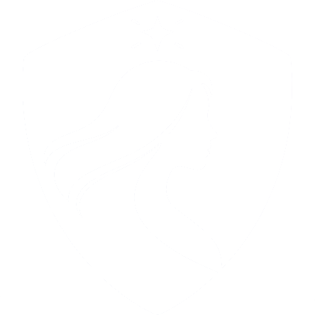 Logo Rede Guardiã